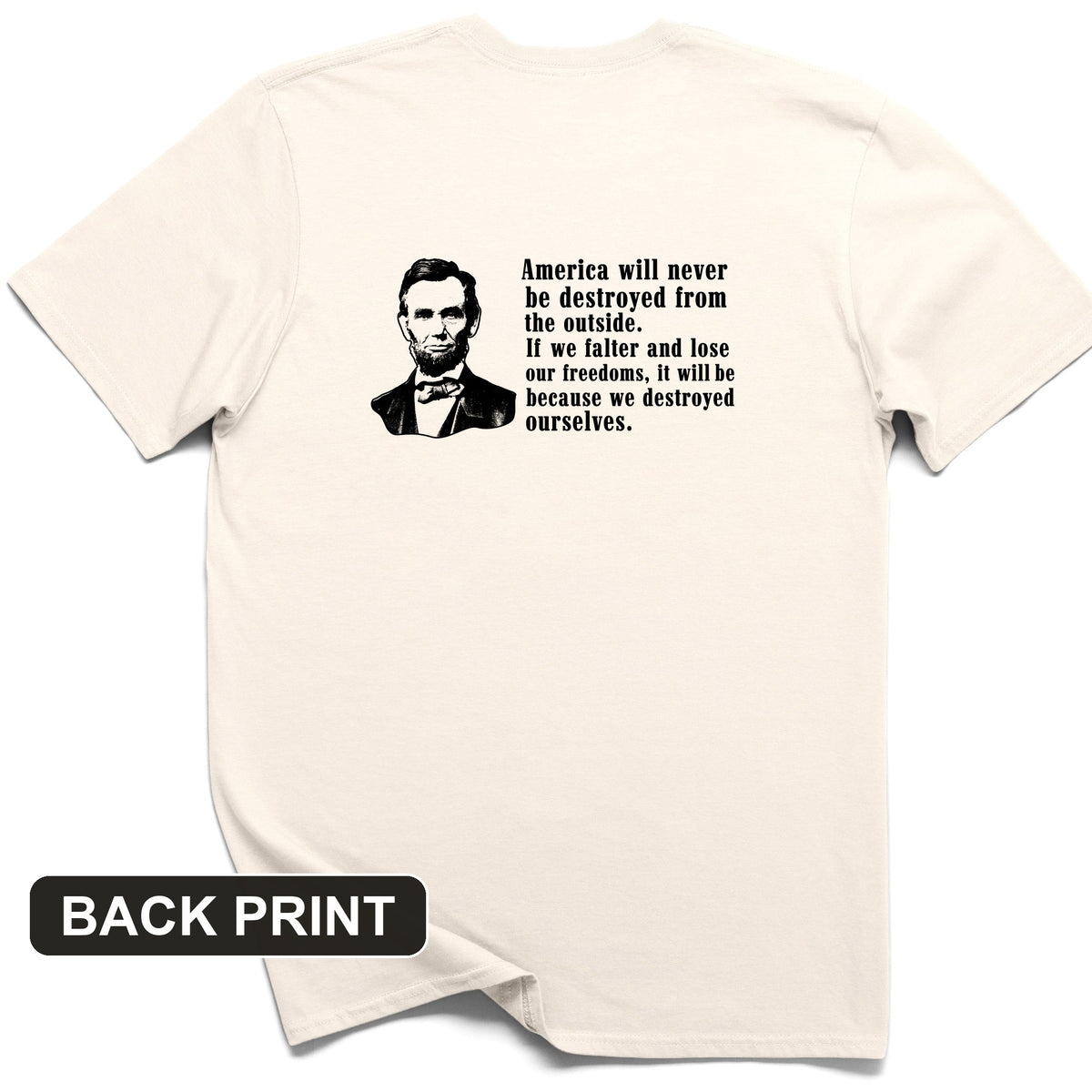 Destroyed Ourselves Lincoln Back Print T-Shirt