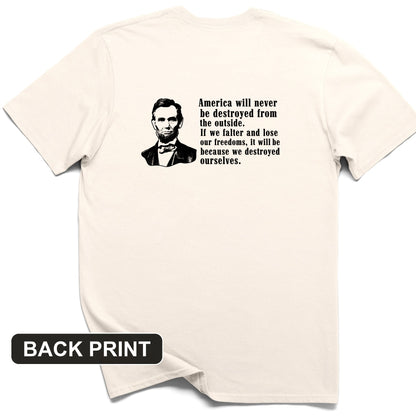 Destroyed Ourselves Lincoln Back Print T-Shirt