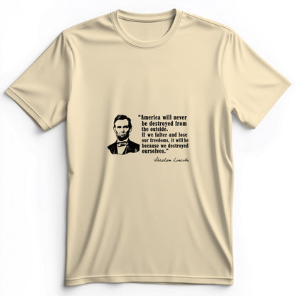 Destroyed Ourselves Lincoln Premium Tee