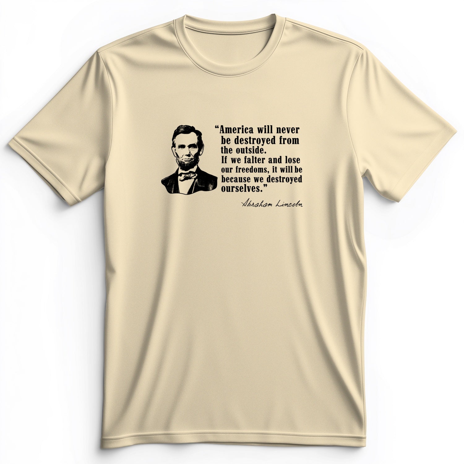 Destroyed Ourselves Lincoln Premium Tee
