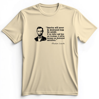Destroyed Ourselves Lincoln Premium Tee