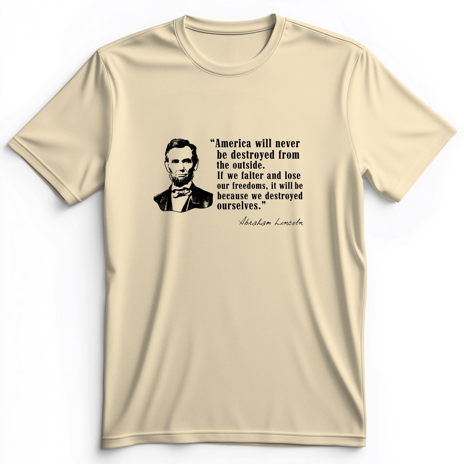 Destroyed Ourselves Lincoln Premium Tee