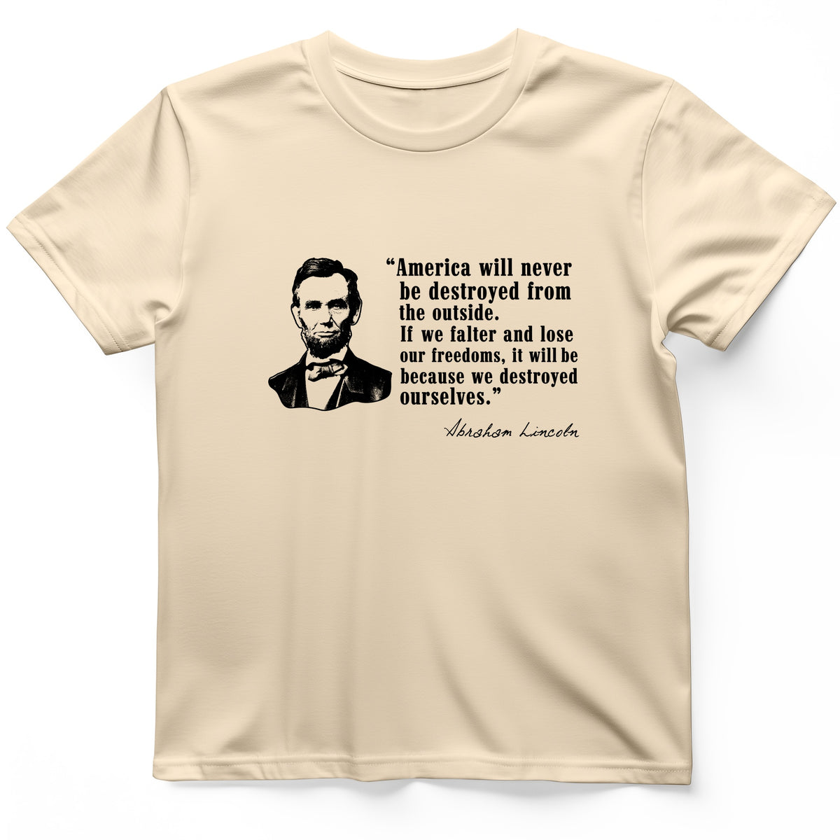 Destroyed Ourselves Lincoln T-Shirt