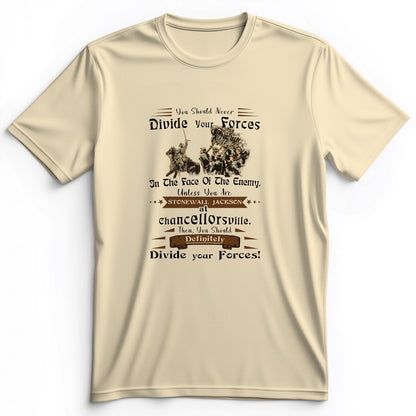 Dividing Forces Premium Tee
