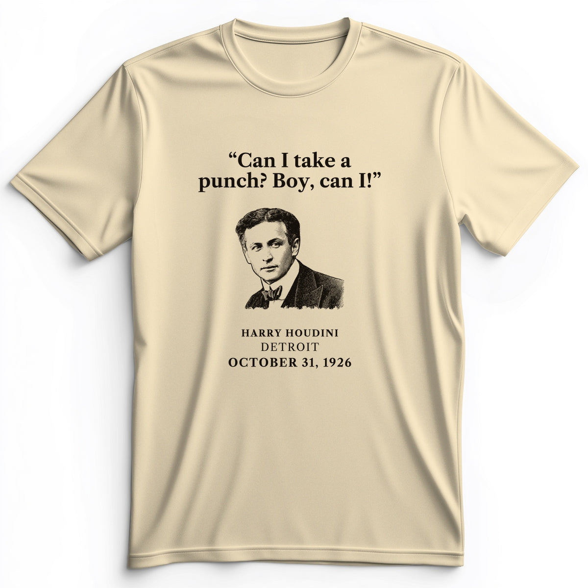 Houdini Can I Take A Punch Premium Tee
