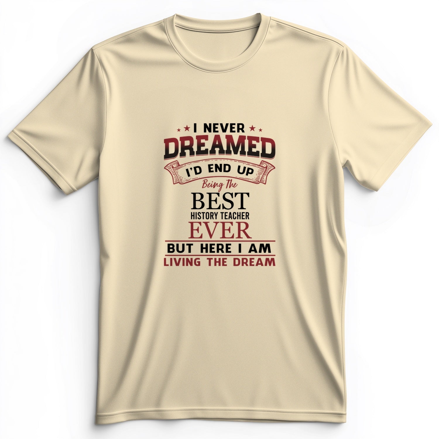 I Never Dreamed Premium Tee