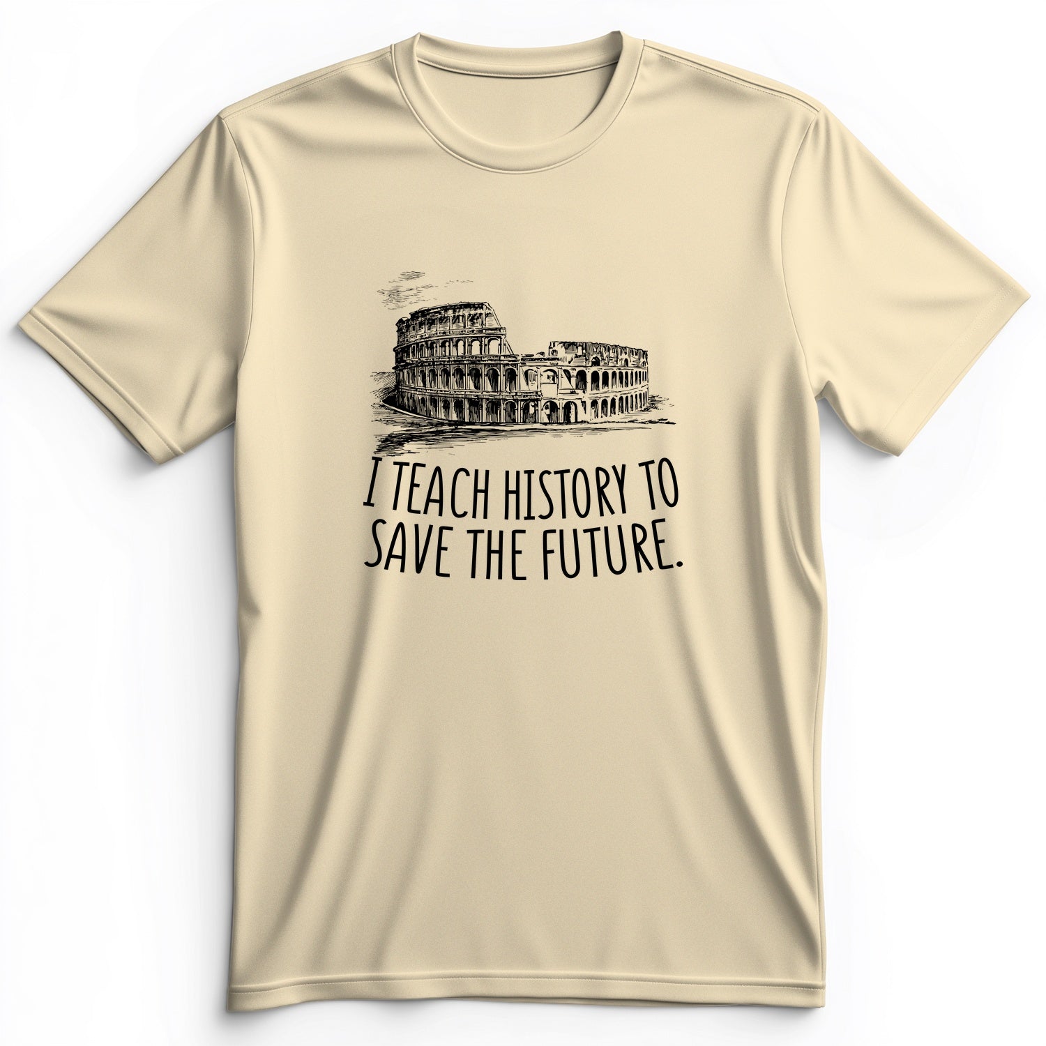 I Teach History To Save The Future Premium Tee