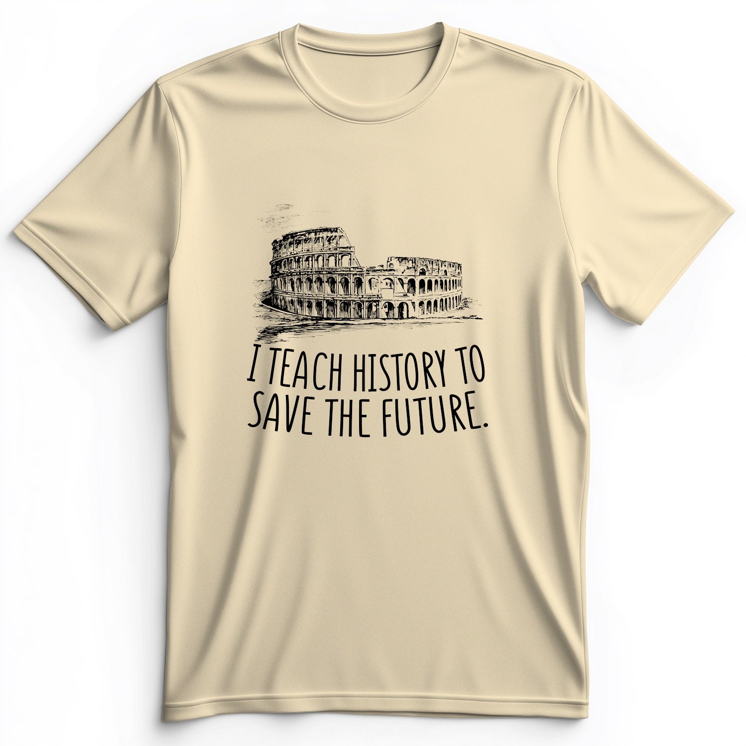 I Teach History To Save The Future Premium Tee
