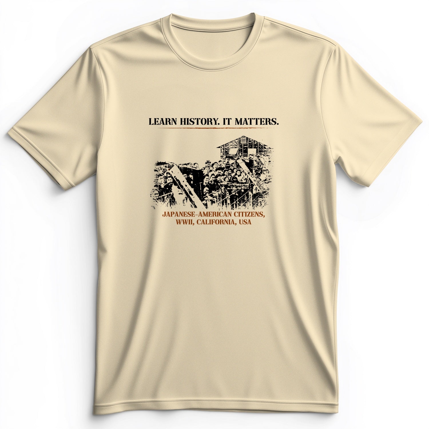 Learn History It Matters Premium Tee