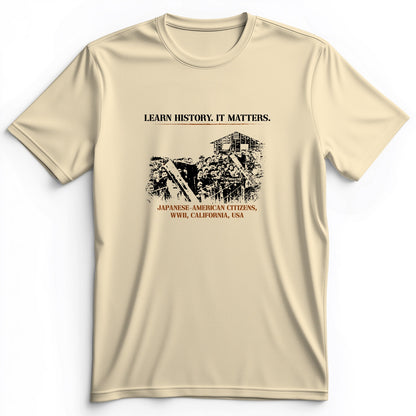 Learn History It Matters Premium Tee