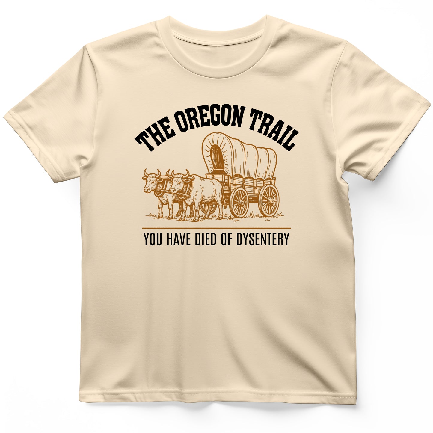 Oregon Trail Dysentery T-Shirt