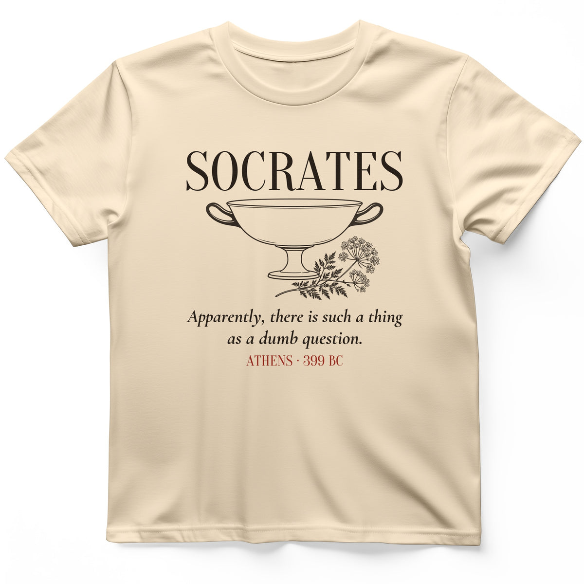 Socrates Dumb Question T-Shirt