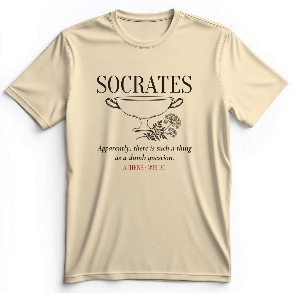 Socrates Dumb Question Premium Tee