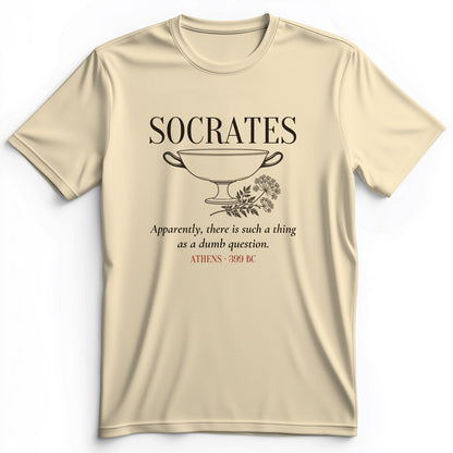 Socrates Dumb Question Premium Tee