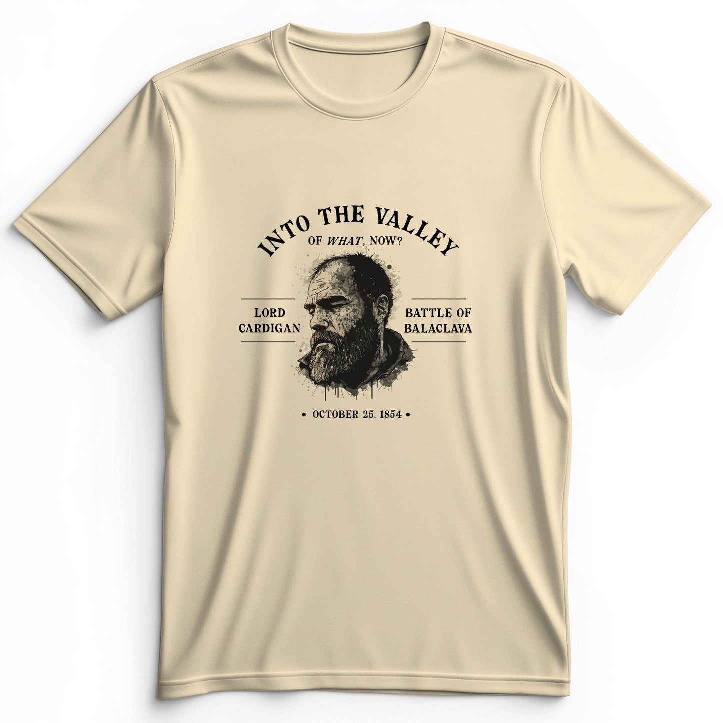 Valley Of What Now Premium Tee