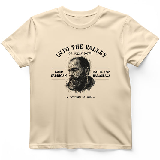 Valley Of What Now T-Shirt