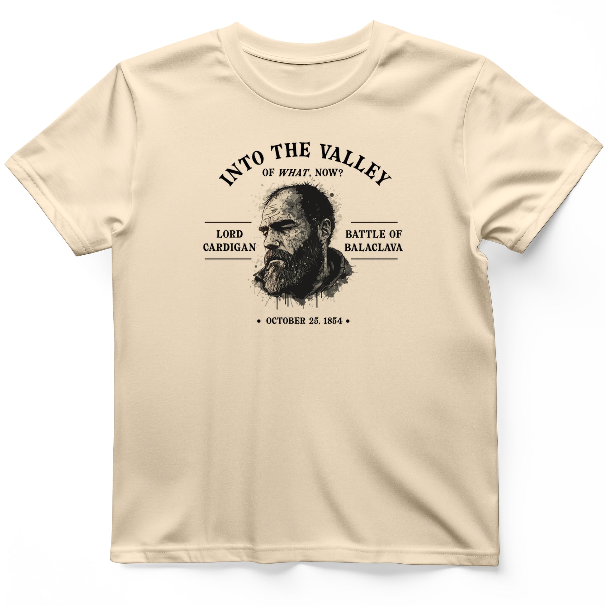 Valley Of What Now T-Shirt