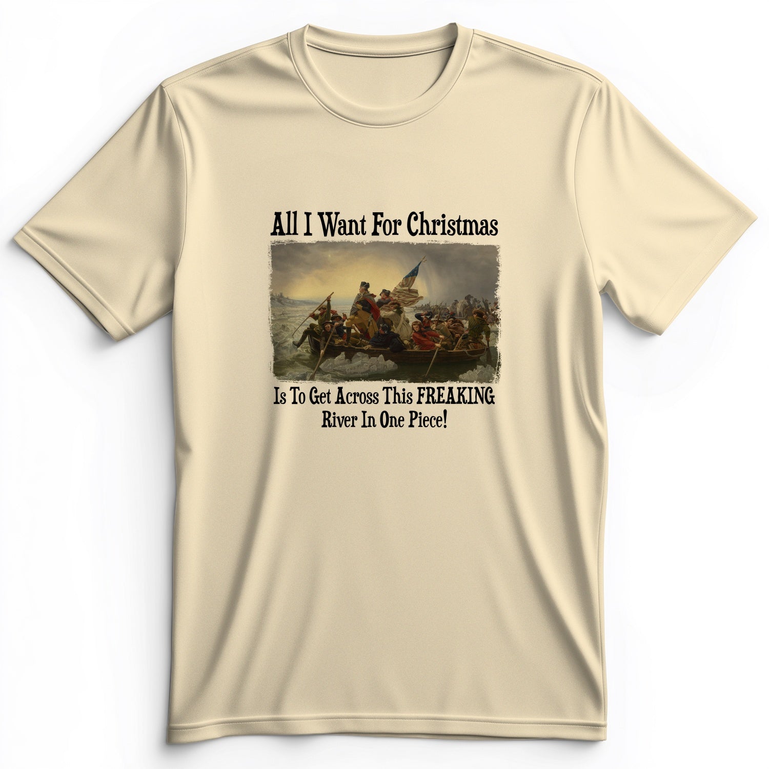 Washington All I Want Premium Tee