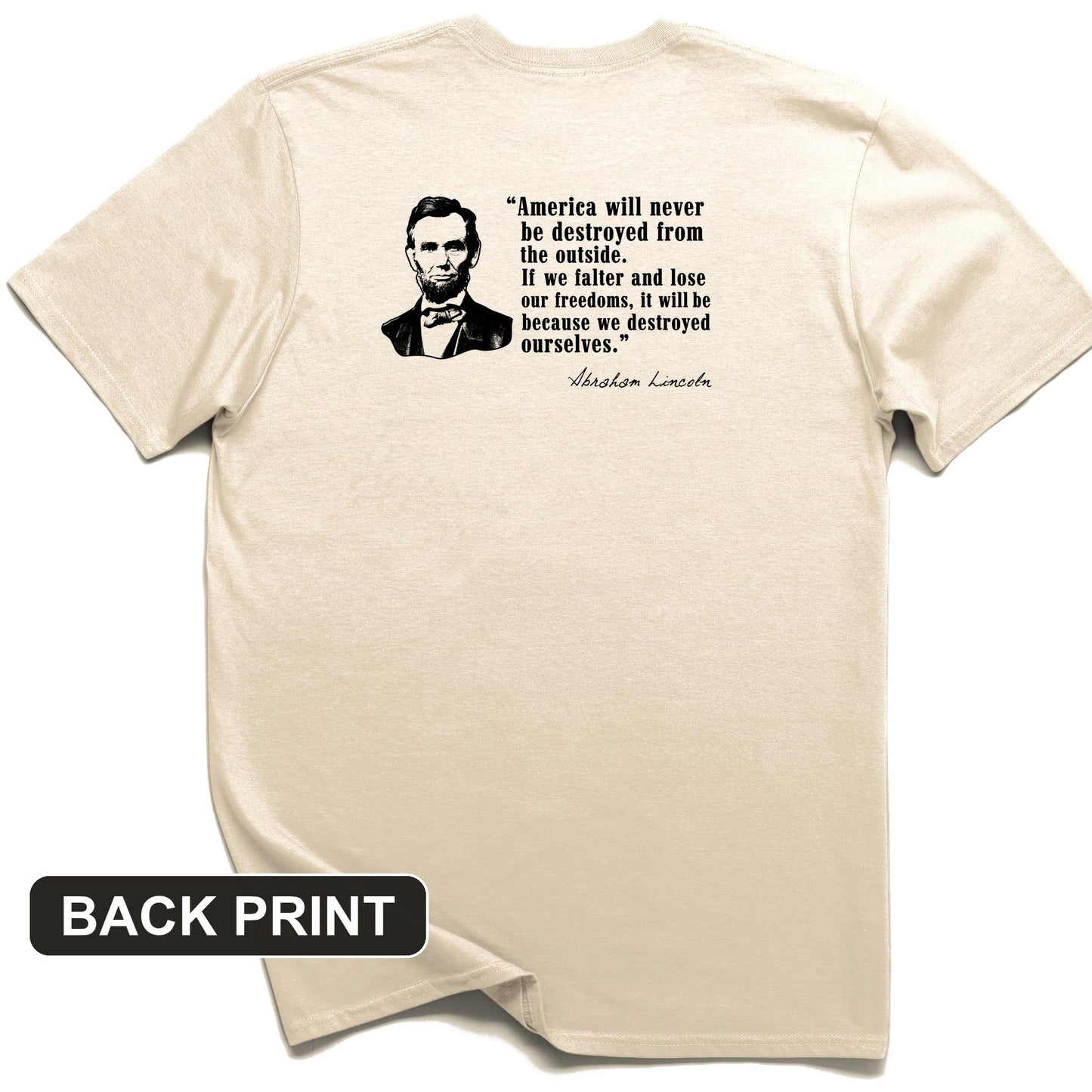 Destroyed Ourselves Lincoln Back Print T-Shirt