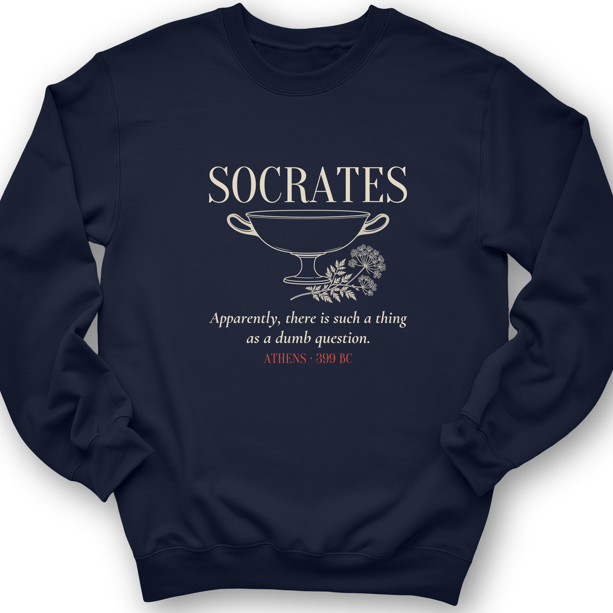 Socrates Dumb Question Crewneck