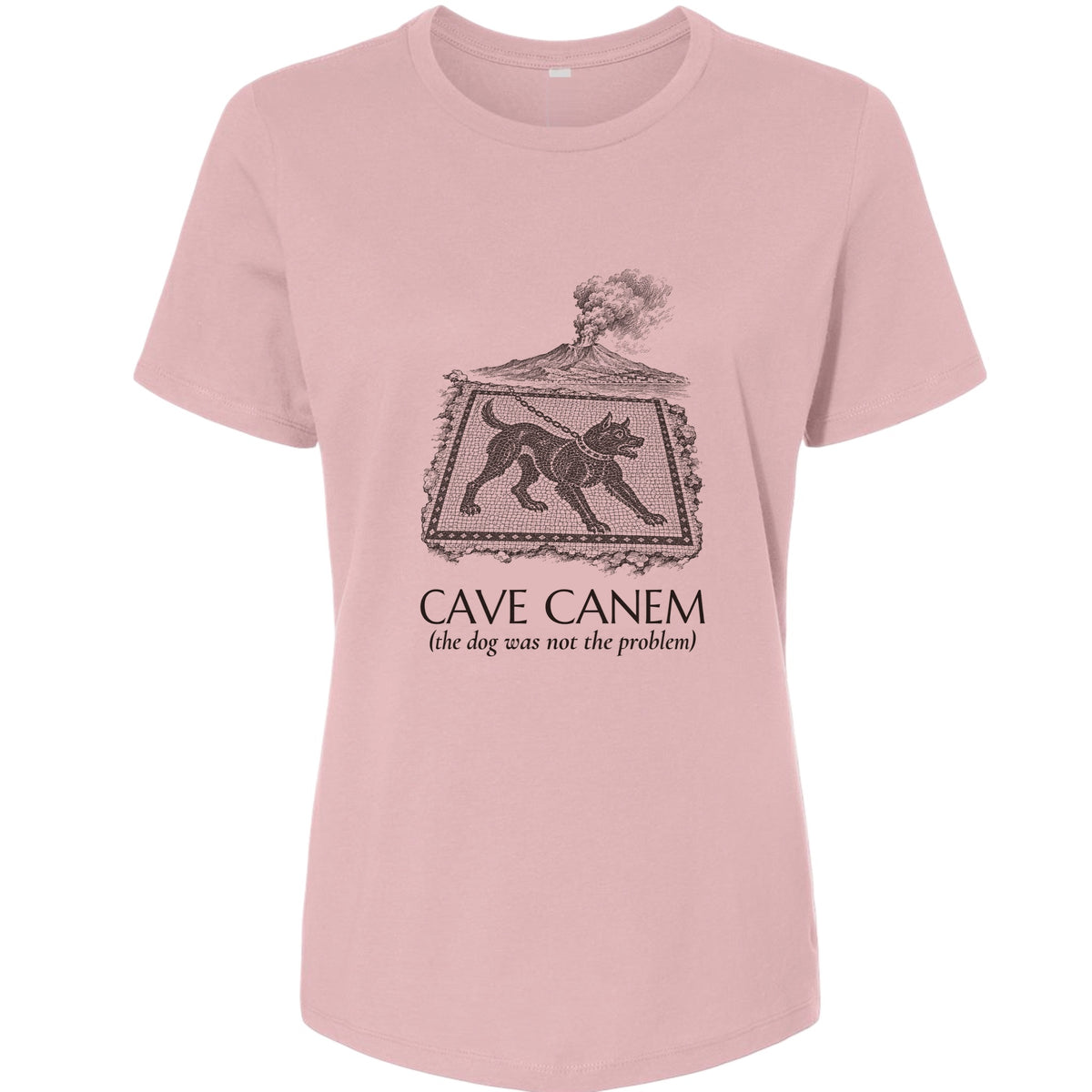 Cave Canem The Dog Was Not The Problem Women's T-Shirt