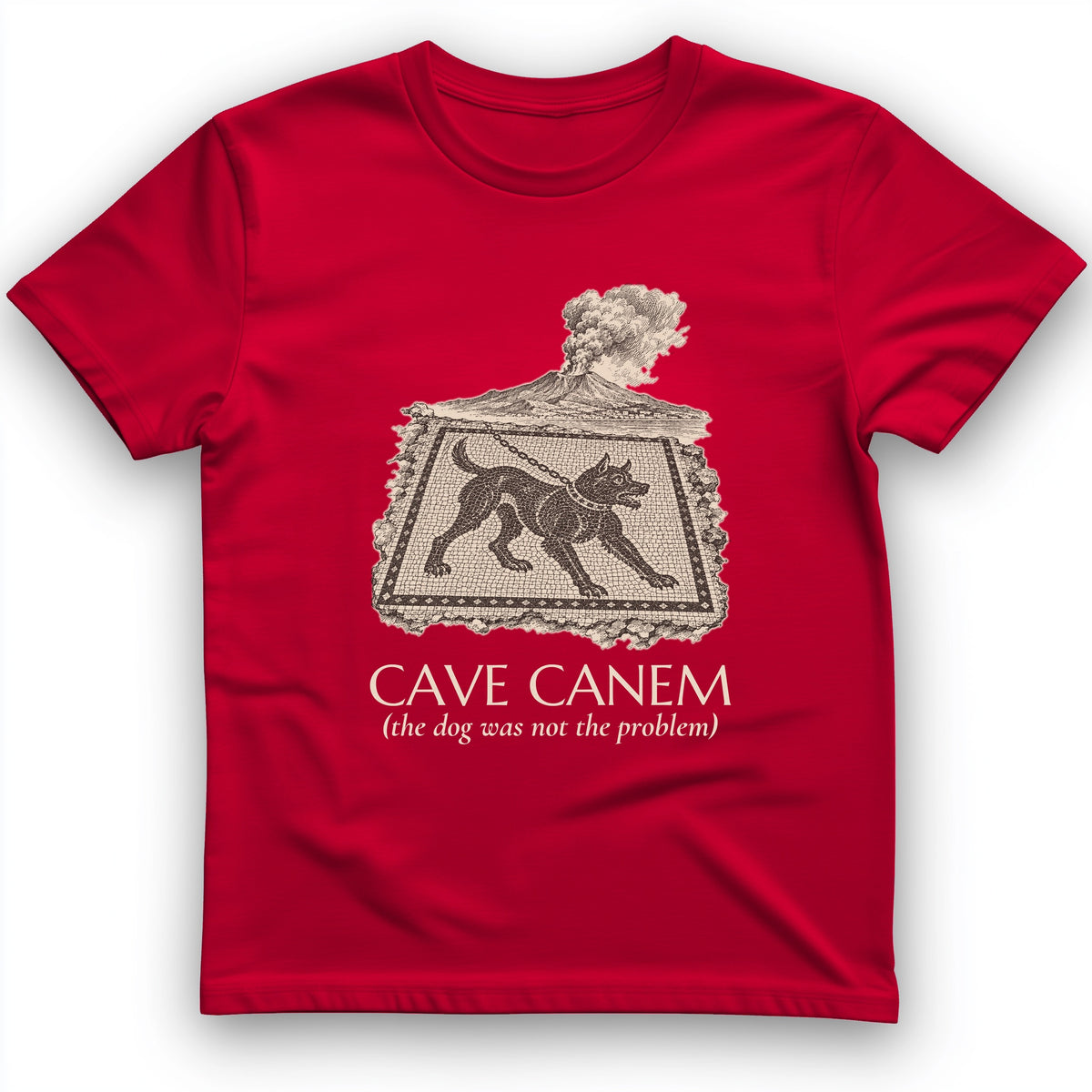 Cave Canem The Dog Was Not The Problem T-Shirt