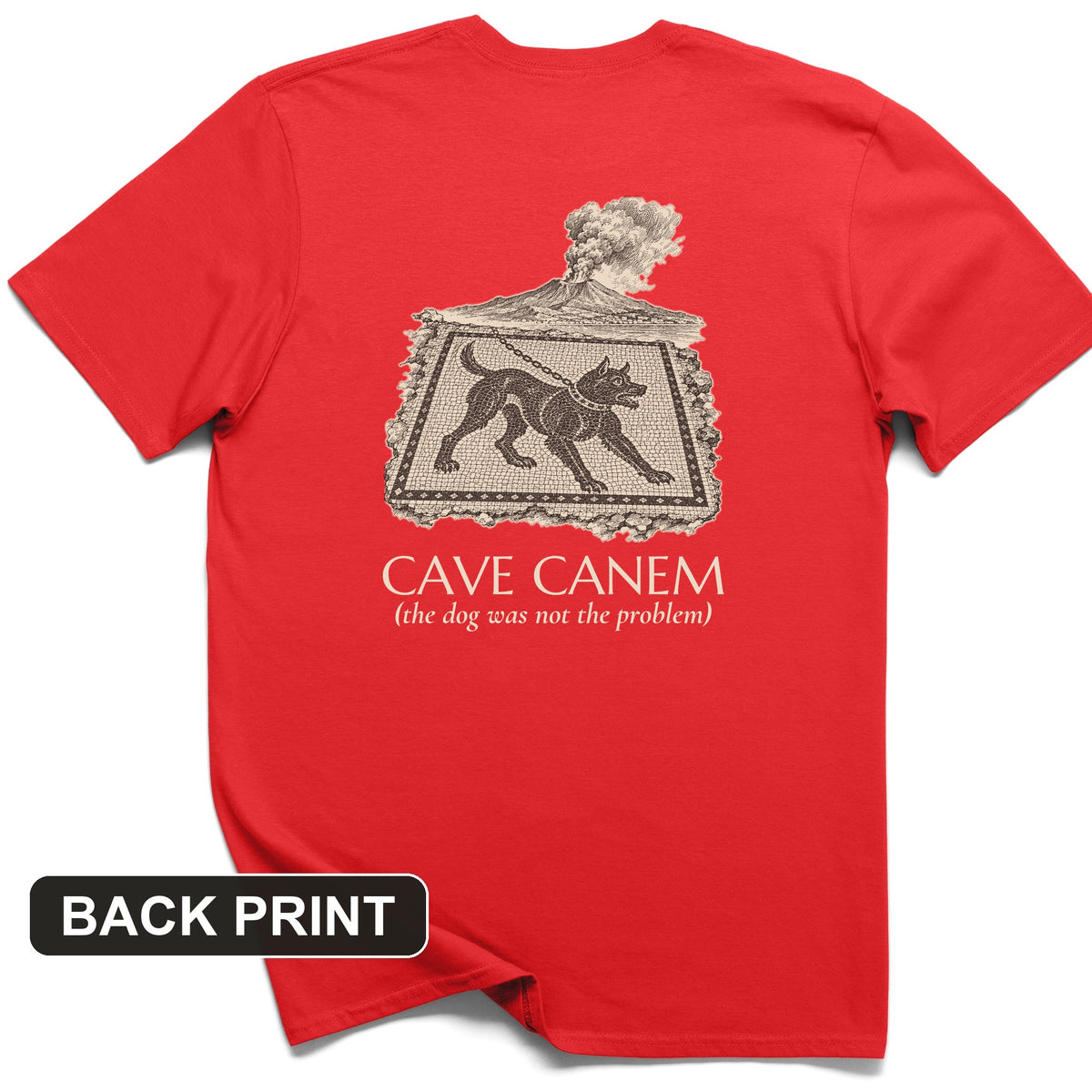 Cave Canem The Dog Was Not The Problem Back Print T-Shirt
