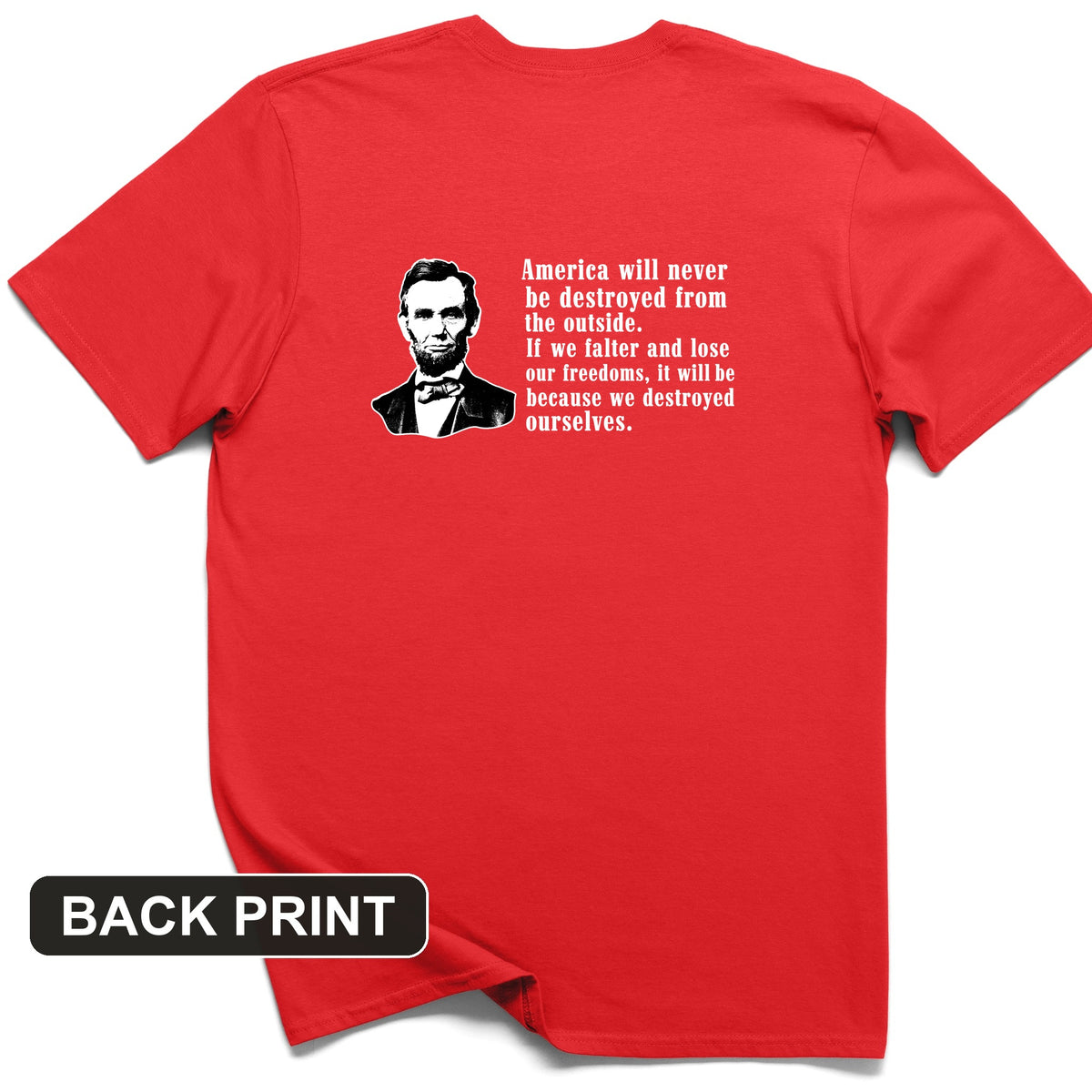 Destroyed Ourselves Lincoln Back Print T-Shirt
