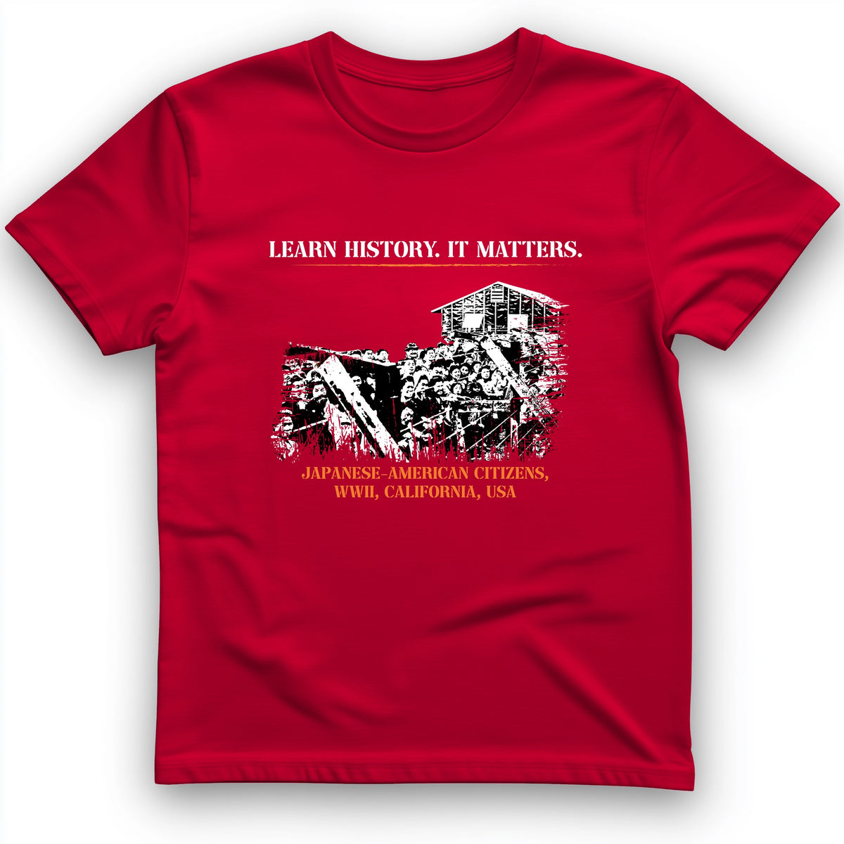 Learn History It Matters T-Shirt