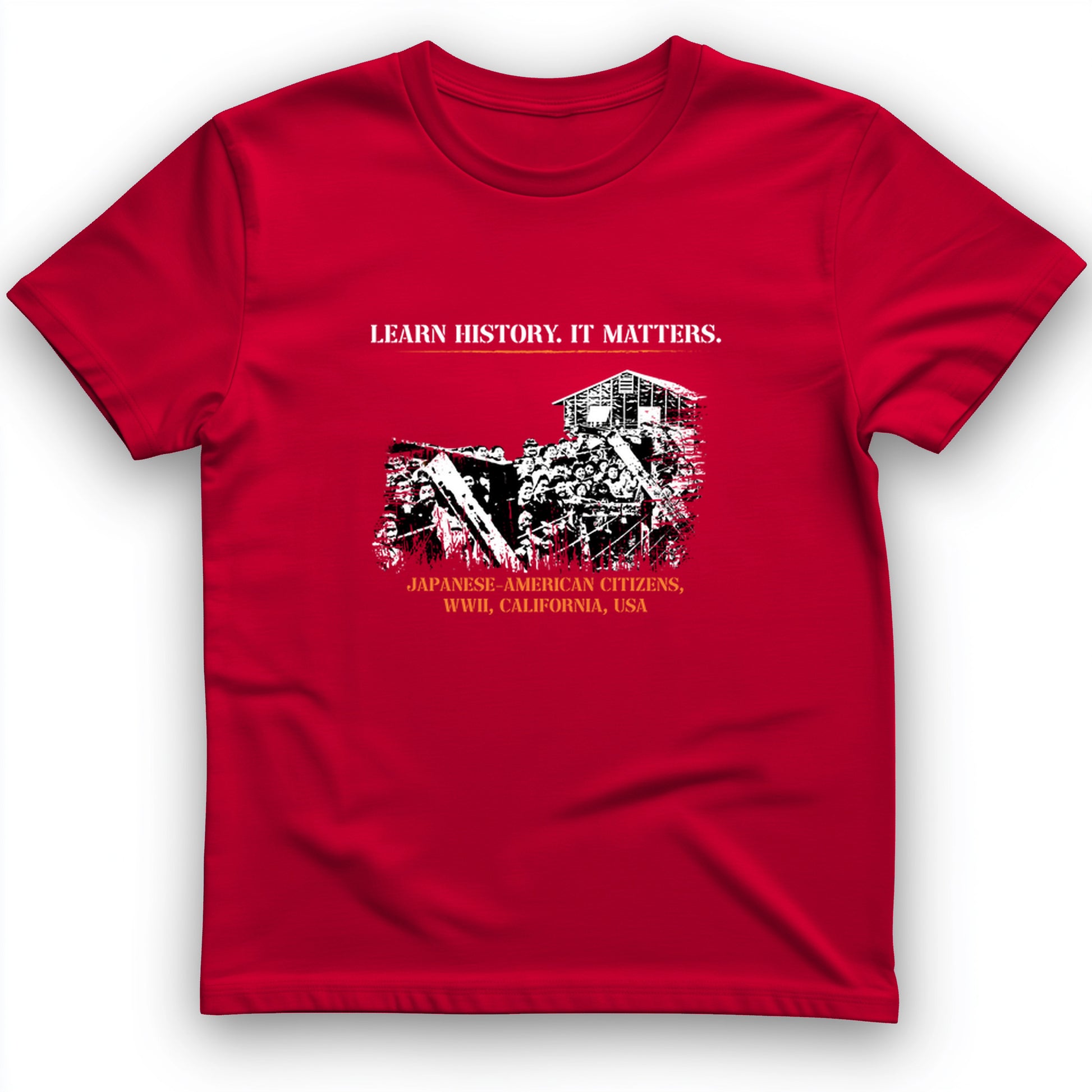 Learn History It Matters T-Shirt
