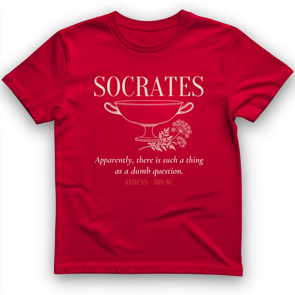 Socrates Dumb Question T-Shirt
