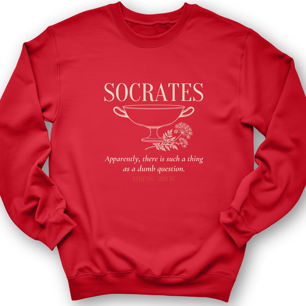 Socrates Dumb Question Crewneck