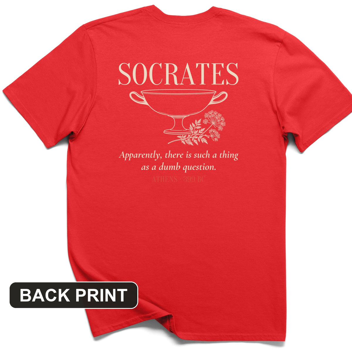 Socrates Dumb Question Back Print T-Shirt