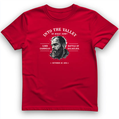 Valley Of What Now T-Shirt
