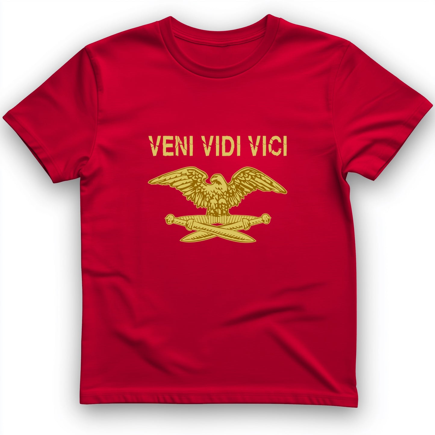 Veni Vidi Vici T-Shirt