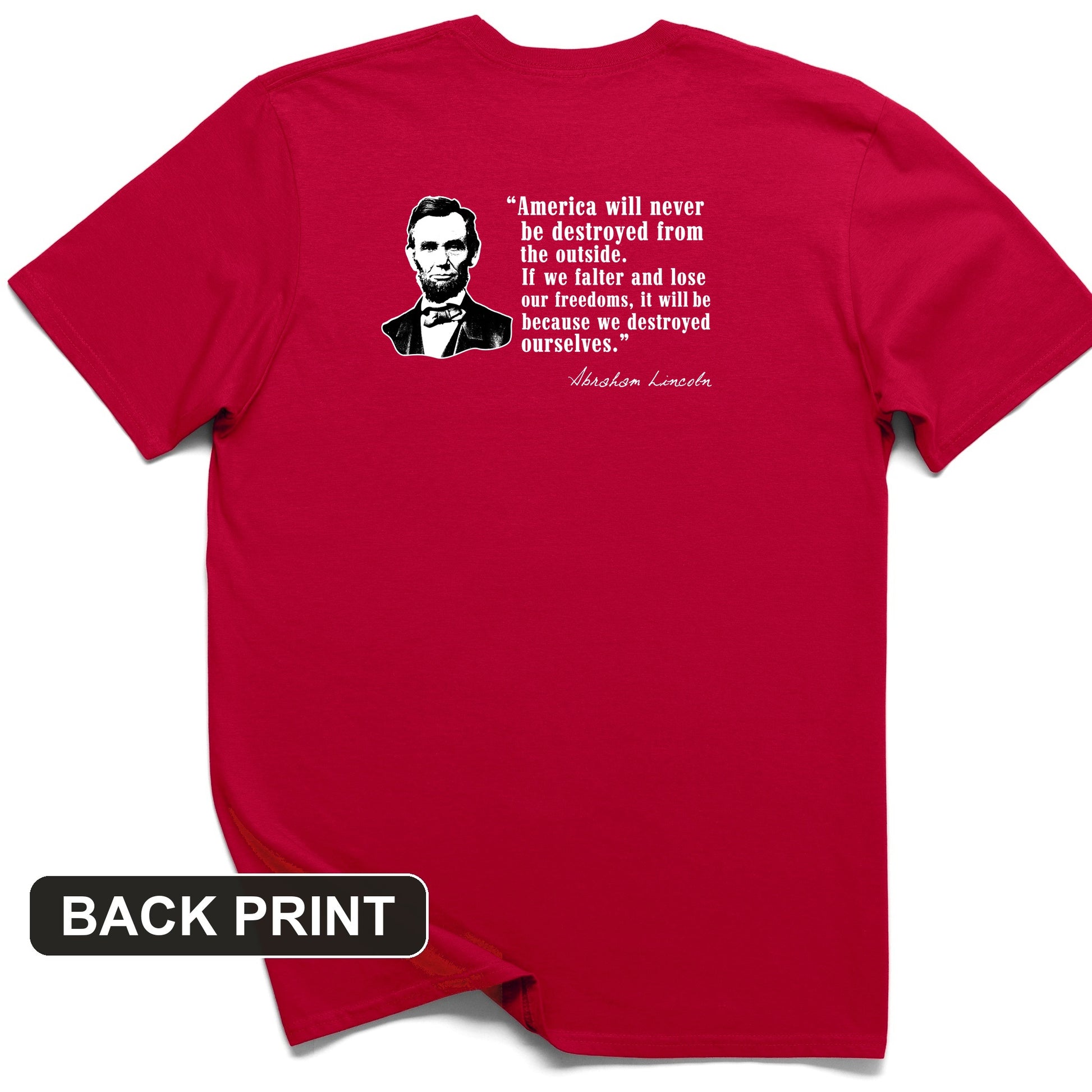Destroyed Ourselves Lincoln Back Print T-Shirt