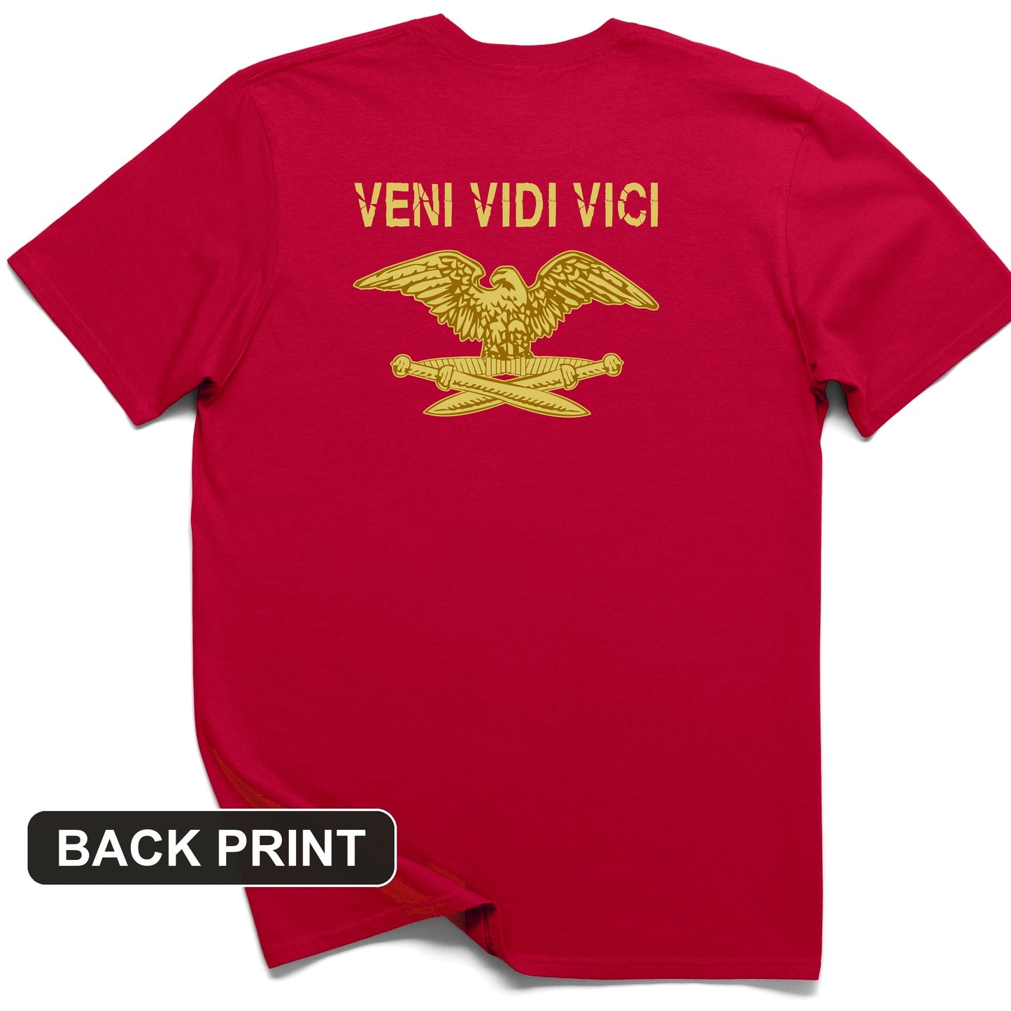 Veni Vidi Vici Back Print T-Shirt