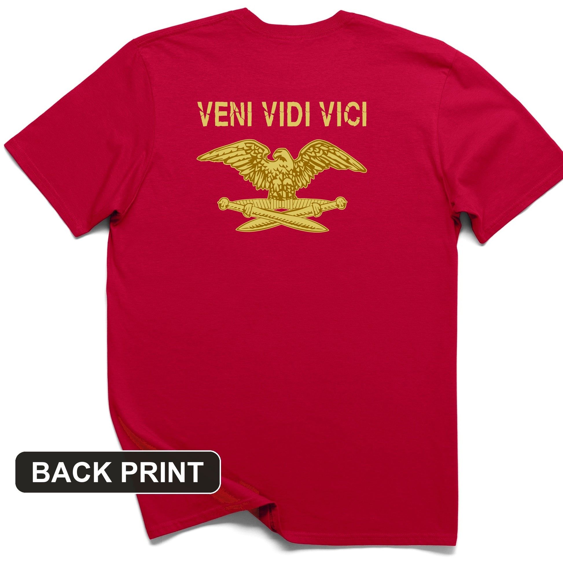 Veni Vidi Vici Back Print T-Shirt