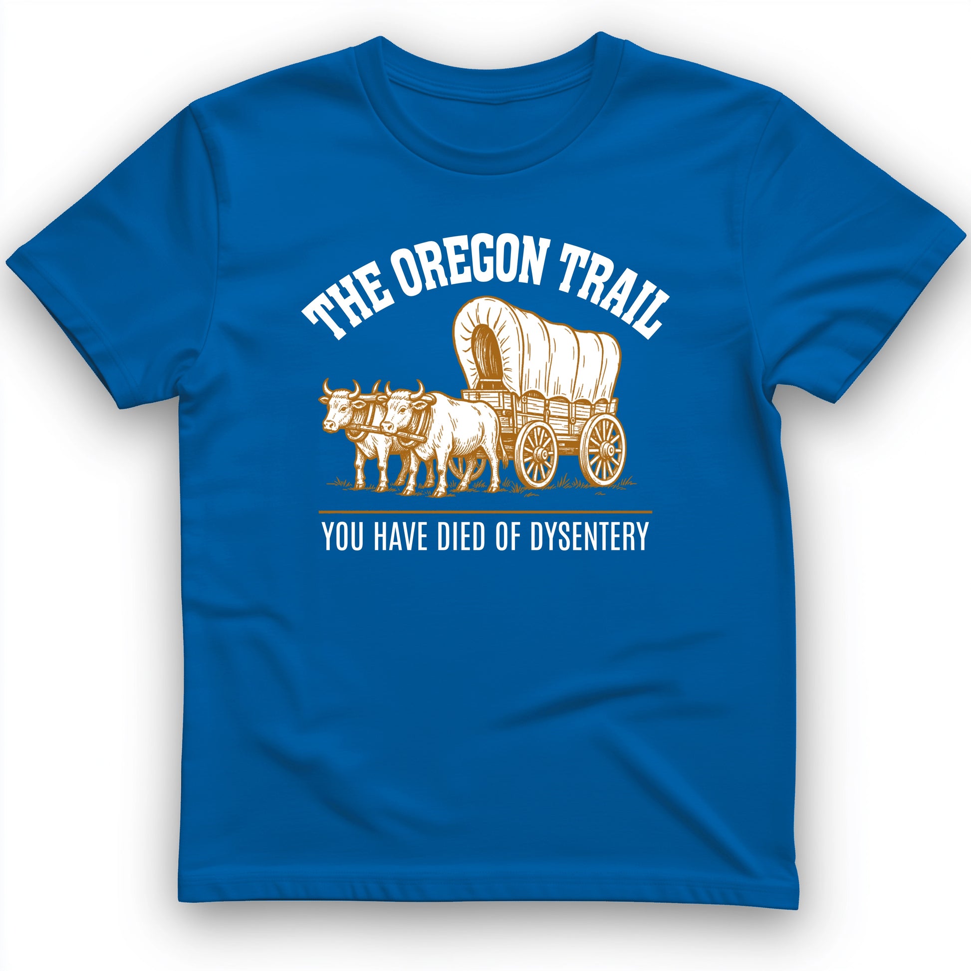 Oregon Trail Dysentery T-Shirt