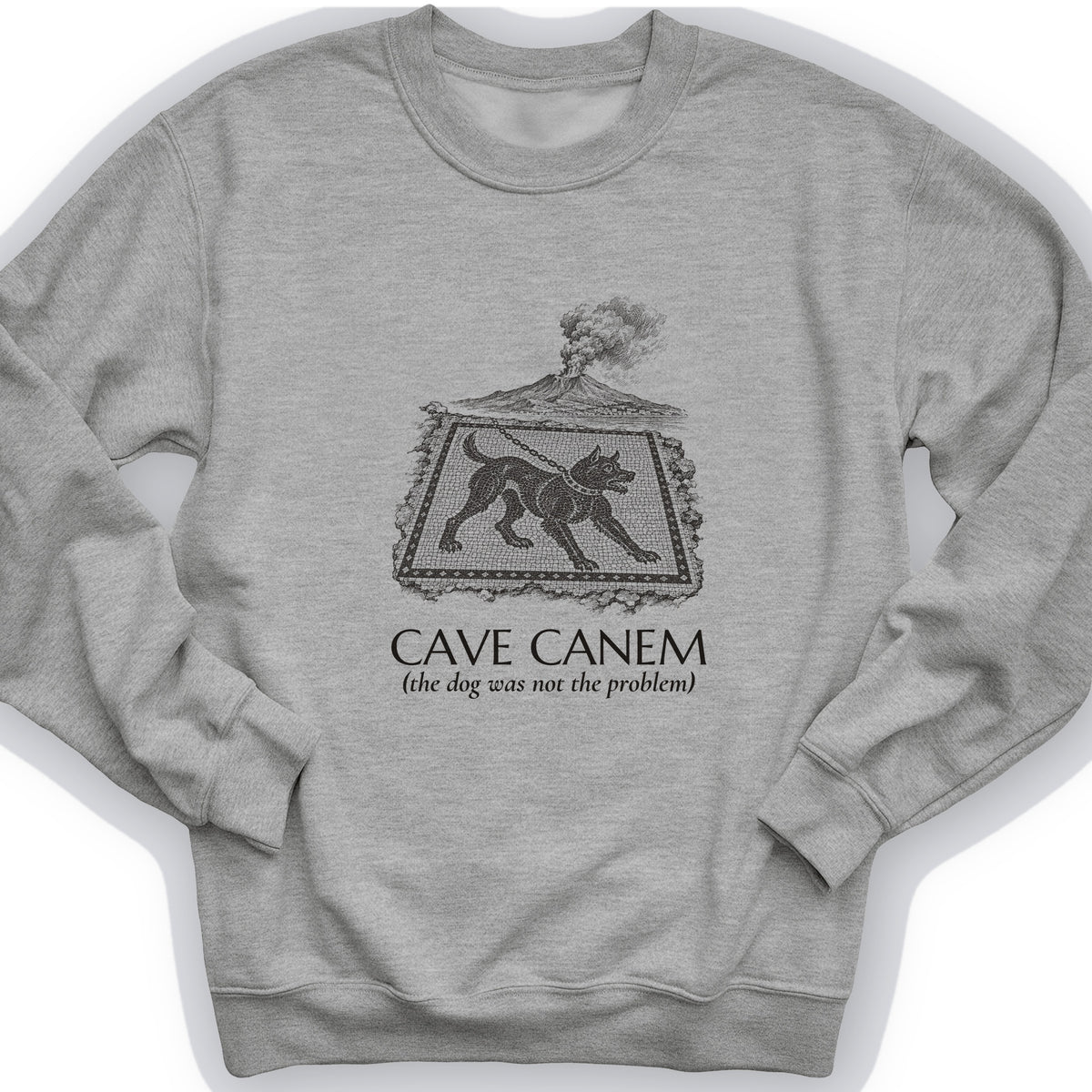 Cave Canem The Dog Was Not The Problem Crewneck