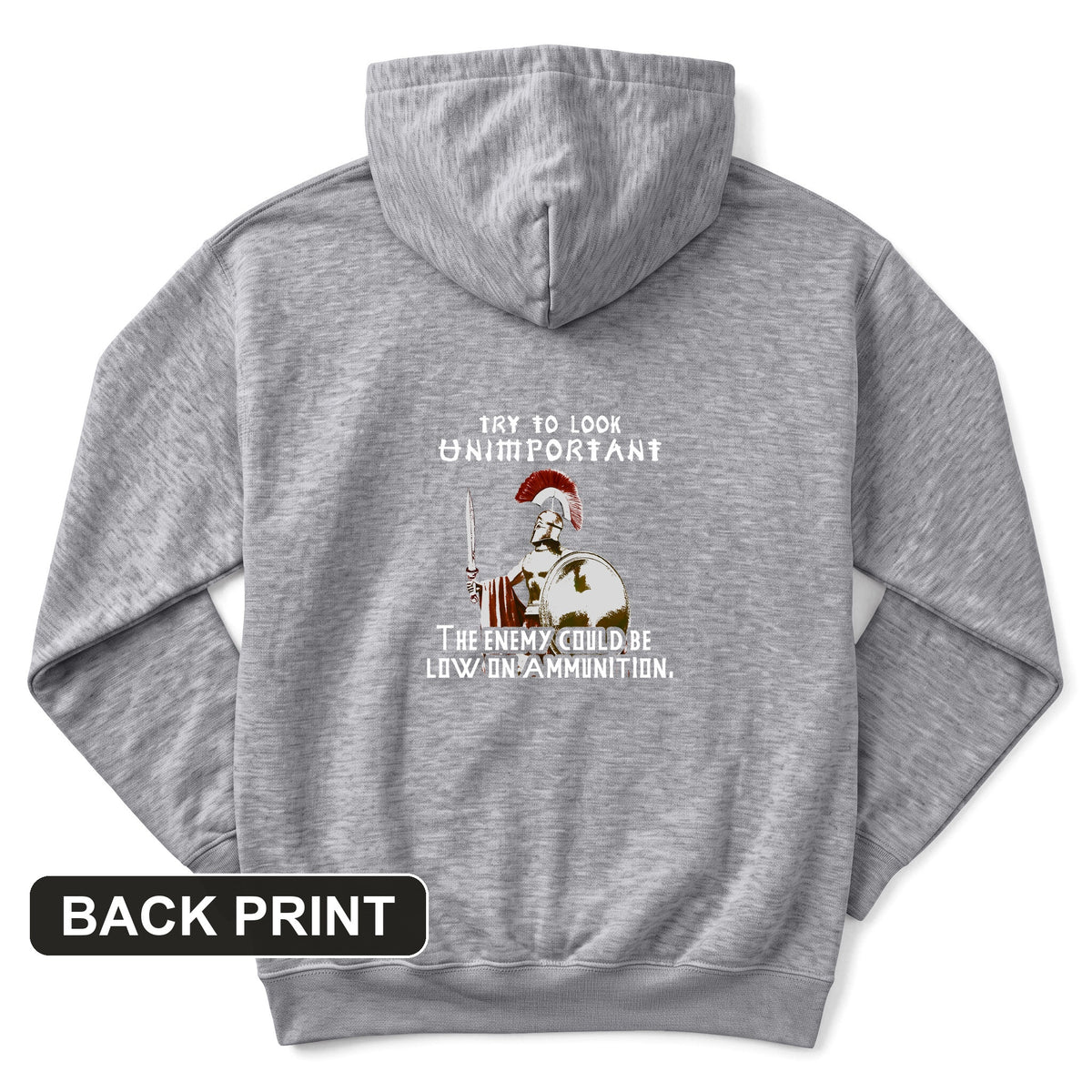 Greek Logic Back Print Hoodie