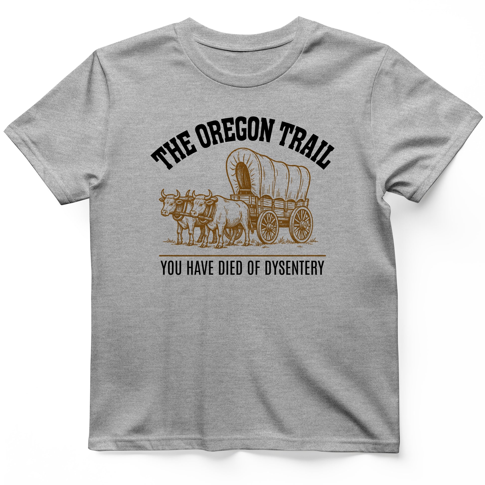 Oregon Trail Dysentery T-Shirt
