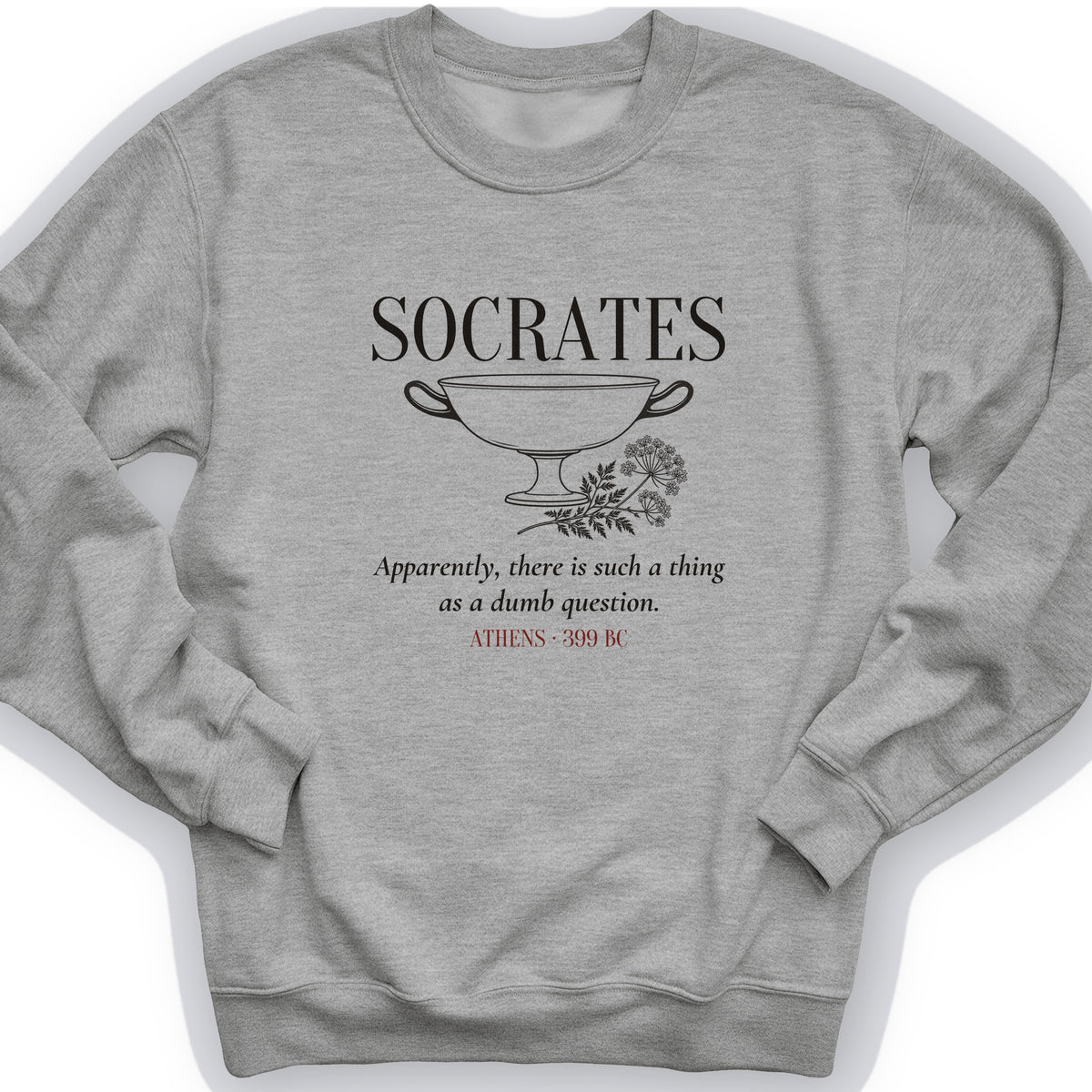 Socrates Dumb Question Crewneck
