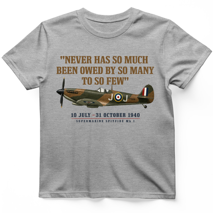 Spitfire T-Shirt Sport Grey / S
