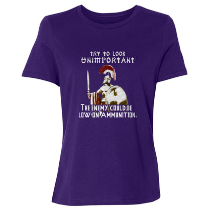 Greek Logic Women's T-Shirt