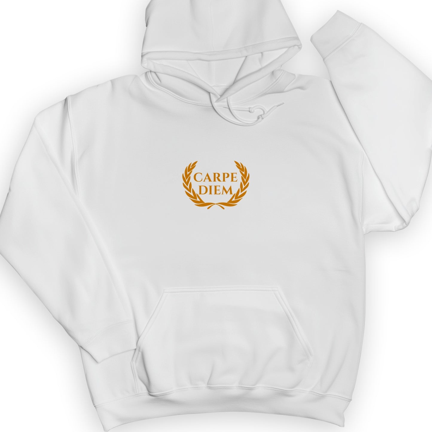 Carpe Diem Hoodie