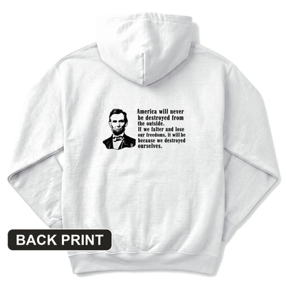 Destroyed Ourselves Lincoln Back Print Hoodie