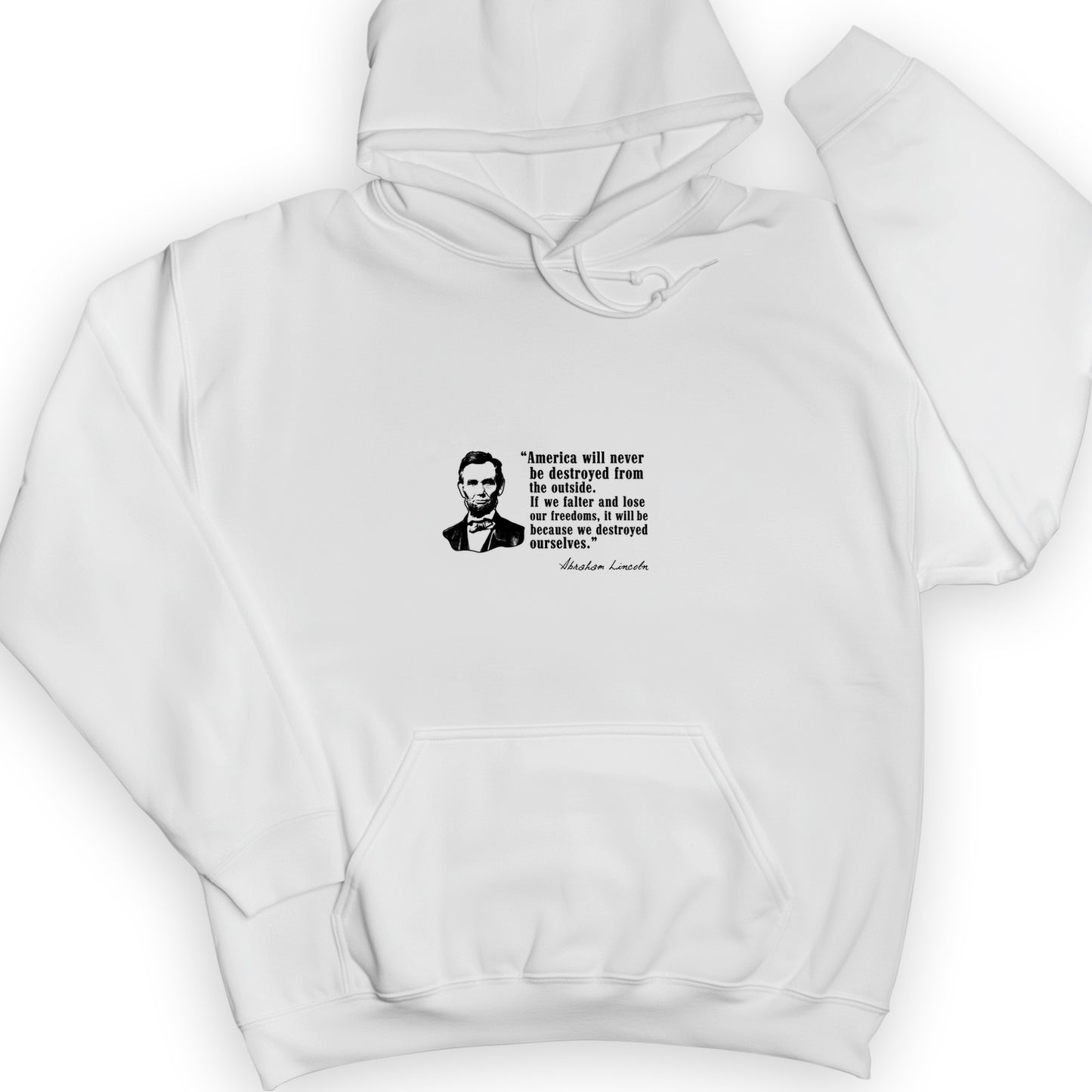 Destroyed Ourselves Lincoln Hoodie