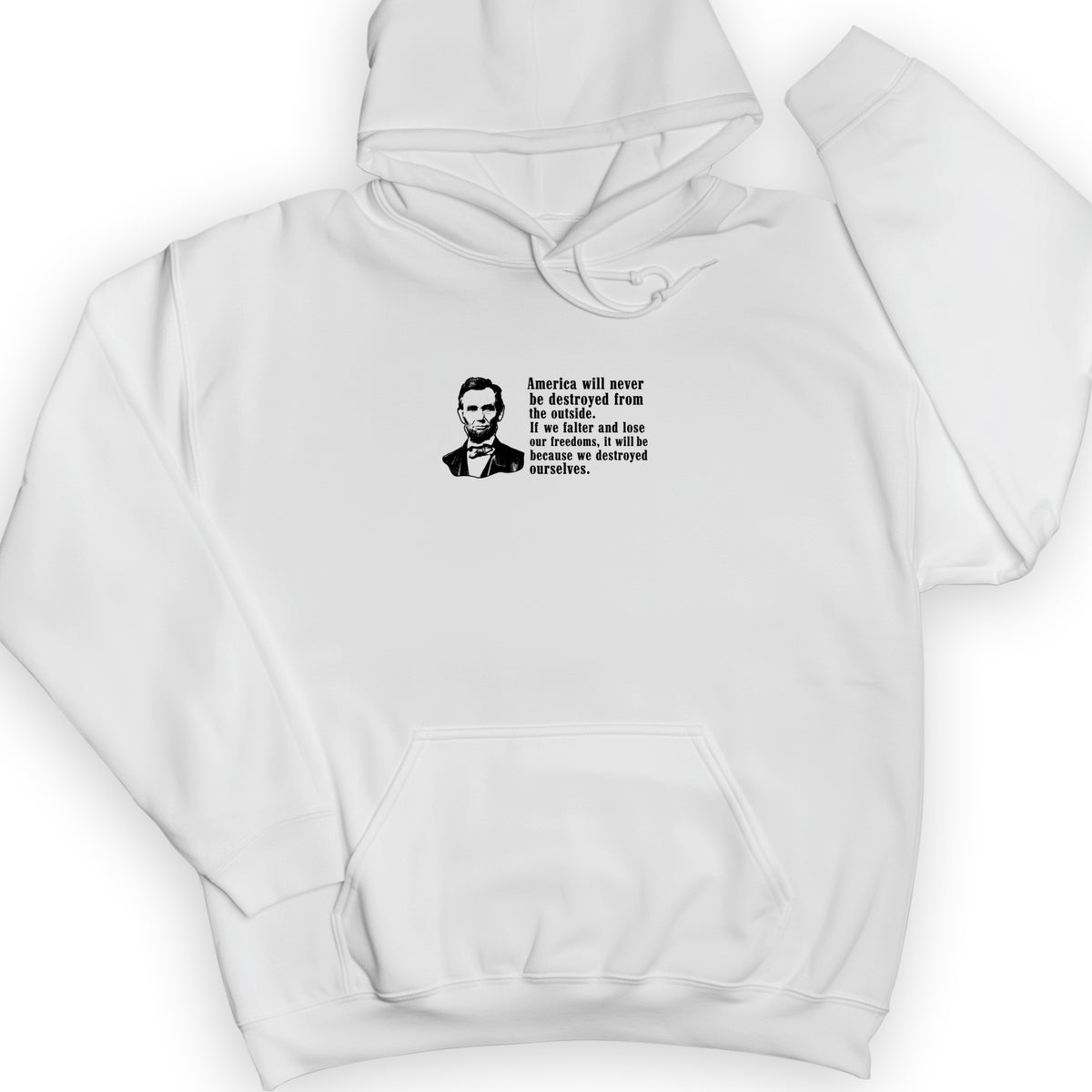 Destroyed Ourselves Lincoln Hoodie