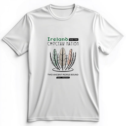 Irish-Choctaw Friendship Premium Tee